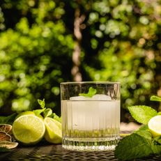 Cocktail List at Diana Garden Milano