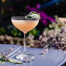 cocktail list at Diana Garden